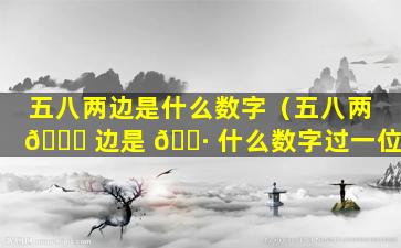 五八两边是什么数字（五八两 🐋 边是 🕷 什么数字过一位）